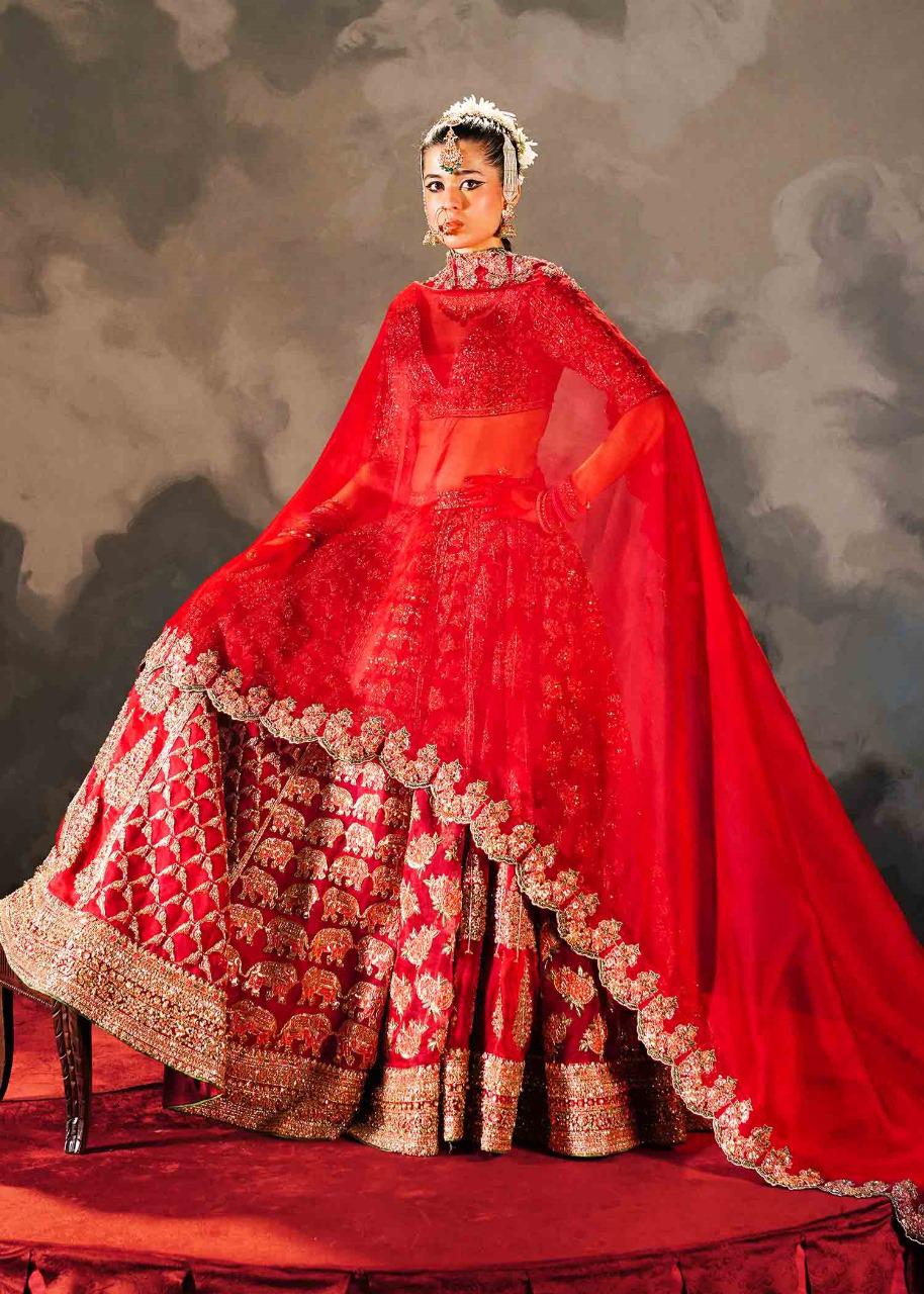 Hussain Rehar Red Pure Organza Lehenga Choli| Luxury Wedding &Festive Wear